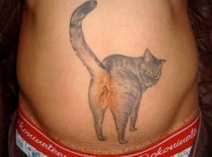 Chat tatoué sur le ventre